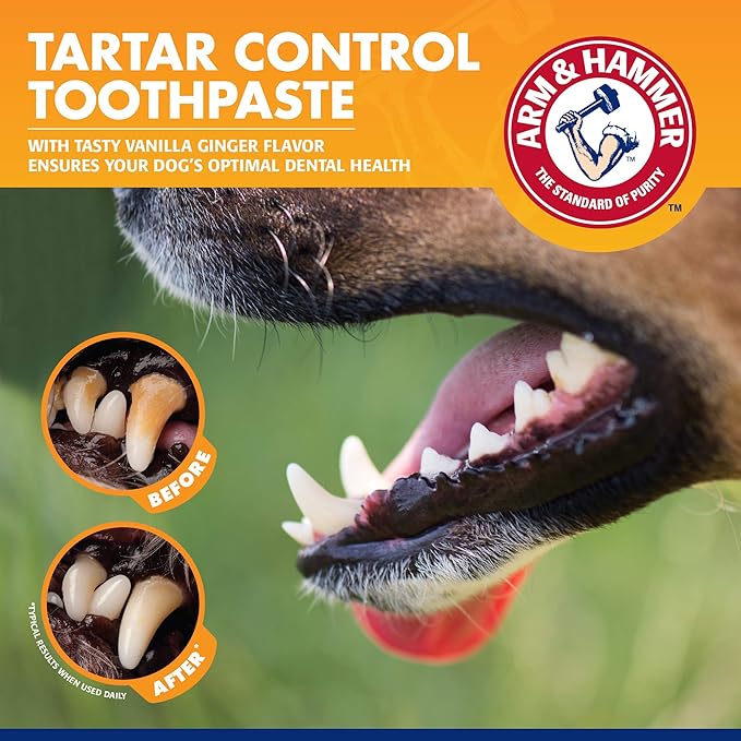 Arm & Hammer for Pets Tartar Control Dental Training Kit for Puppies, Includes Dog Toothbrush, Toothpaste & Fingerbrush for Puppy Dental Health, Vanilla Ginger Flavor, 0.84 Oz