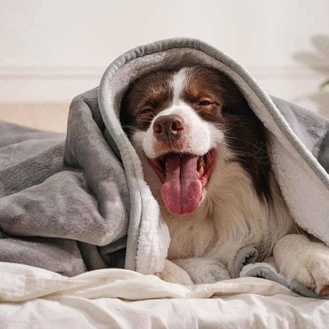 gogobunny Waterproof Pet Blanket for Small Dogs and Cats, Reversible Sherpa Fleece Soft Plush Throw for Couch Protection, Washable Furniture Protector (Grey, 30x40 inches)