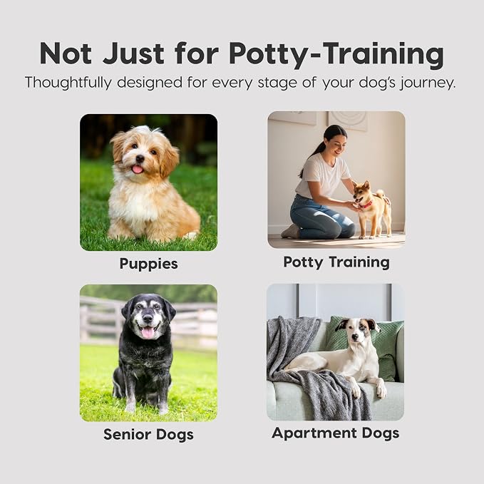 IRIS USA Puppy Pads 100 Count, Dog Training Pads 22"x22", Super Absorbent Leakproof Pee Pads for Dogs, Quick Dry Disposable Potty Training Supplies
