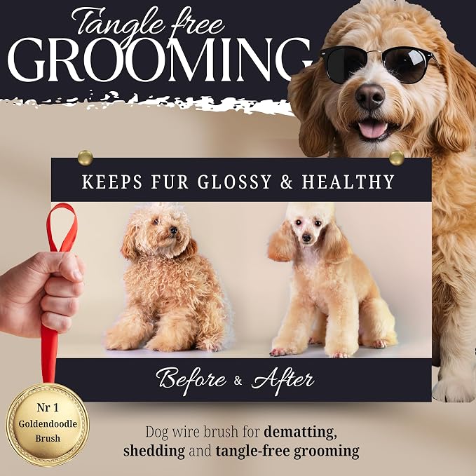 Tiny Slicker Brush for Dogs - Protected Pins for Extra Comfort - 1 inch Pins for Easy Detangling for Long Hair Dog, Cats, Doodle, Goldendoodle