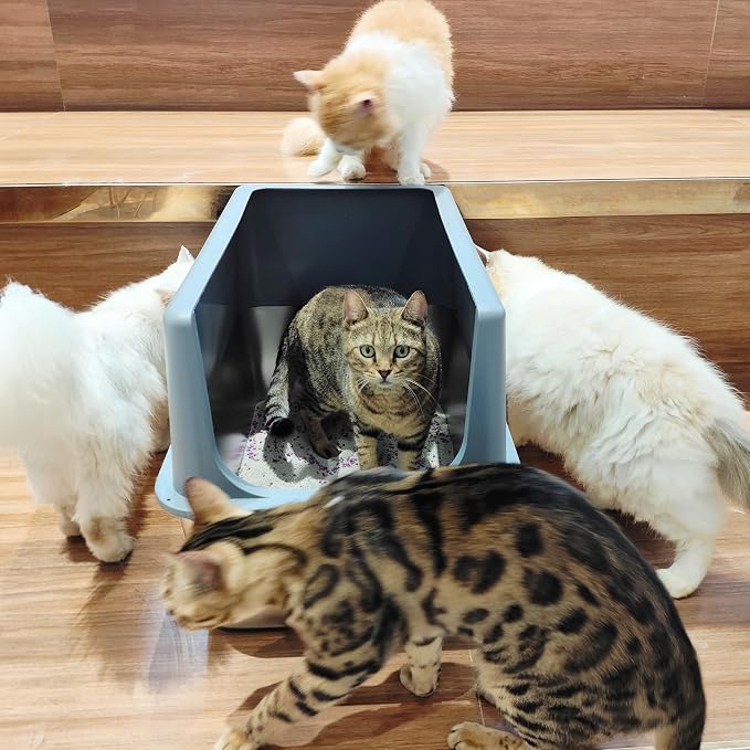Stainless Steel Cat Litter Box with Lid, Covered Litter Box for Large Cats, 16" High Sides Enclosed Cat Litter Boxes, Extra Large Litter Box with Grey Lid, XL Metal Litter Pan, Easy to Clean
