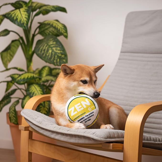 Nestpark Zen Pupper Deckies Parody Dog Toy - Plush Squeaky and Crinkle Funny Dog Toy (Citrus Lick)
