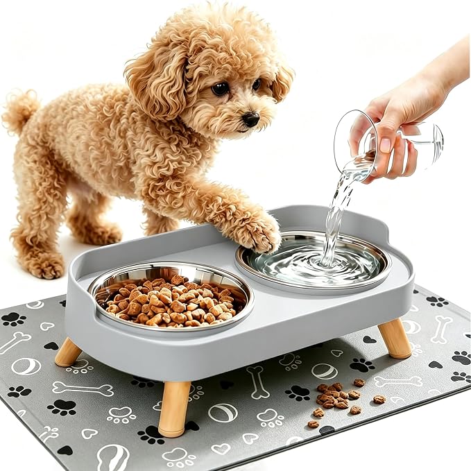 Elevated Dog Bowls with Mat, 2 Stainless Steel for Small Dogs Under 25 Lb | Raised Bowl Stand, Food & Water Set for Cats & Puppies, Splash Proof, Dishwasher Safe, Stain-Resistant Quick-Dry Mat