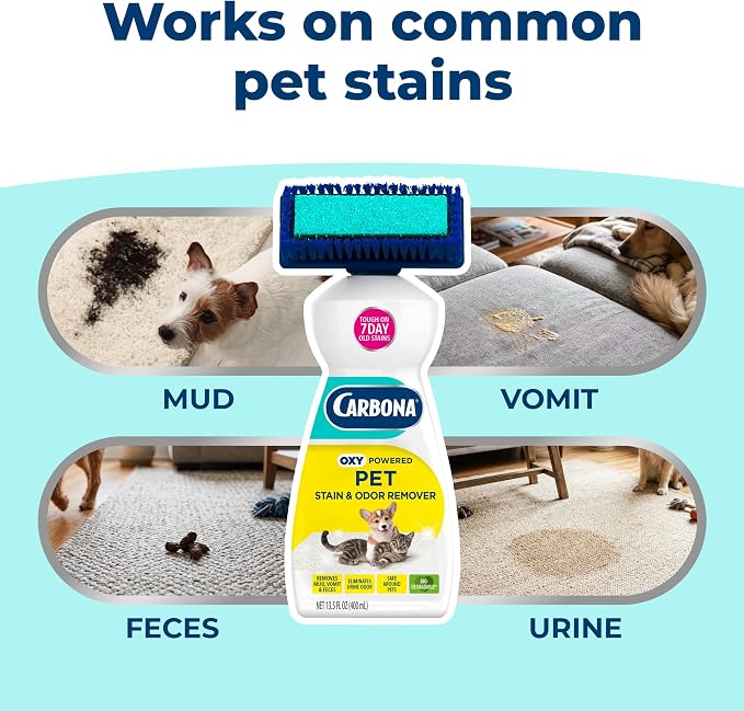 Carbona 2-in-1 Oxy-Powered Pet Stain & Odor Remover (13.5 Fl Oz), Carpet Spot Cleaner Removes Urine Odor, Lifts Mud & Vomit Stains, Prevents Resoiling