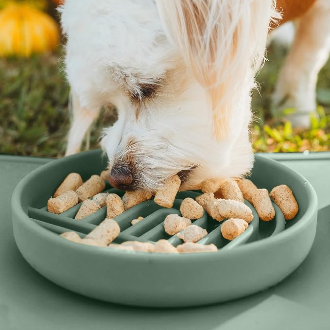 Should We Go? Slow Feeder Dog Bowls - Small Size Silicone Slow Eating Dog Bowl for Puppies & Dogs with Suction Cup -Dishwasher-Safe, Lick Mat Design, Reduces Gulping, for All Breeds, 6”x1.25”- Spruce