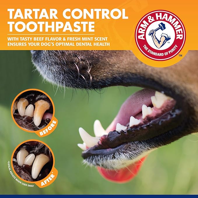Arm & Hammer for Pets Tartar Control Dog Dental Kit, Enzymatic Toothpaste with Toothbrush and Fingerbrush, Baking Soda Formula Reduces Plaque and Tartar, Safe for Puppies, Beef Flavor, 3-Piece