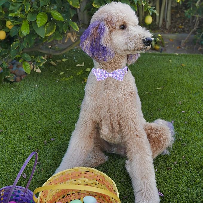 ·MR. CHUBBYFACE· Easter Dog Collar Rabbit Puppy Collar with Bow, Adjustable Pet Collar Bowtie for Small Medium Large Dogs