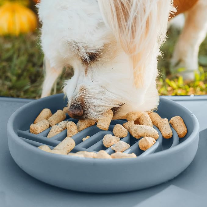 Should We Go? Slow Feeder Dog Bowls - Small Size Silicone Slow Eating Dog Bowl for Puppies & Dogs with Suction Cup -Dishwasher-Safe, Lick Mat Design, Reduces Gulping, for All Breeds, 6”x1.25”- Ocean