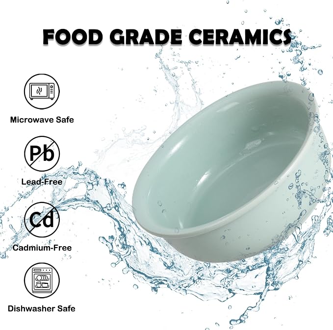 Ceramic Elevated Dog Bowl Set - Double Dog Food and Water Bowls with Metal Stand - Raised Pet Dishes for Puppies and Cats - 2 Cups - 12.5 fl oz - Green