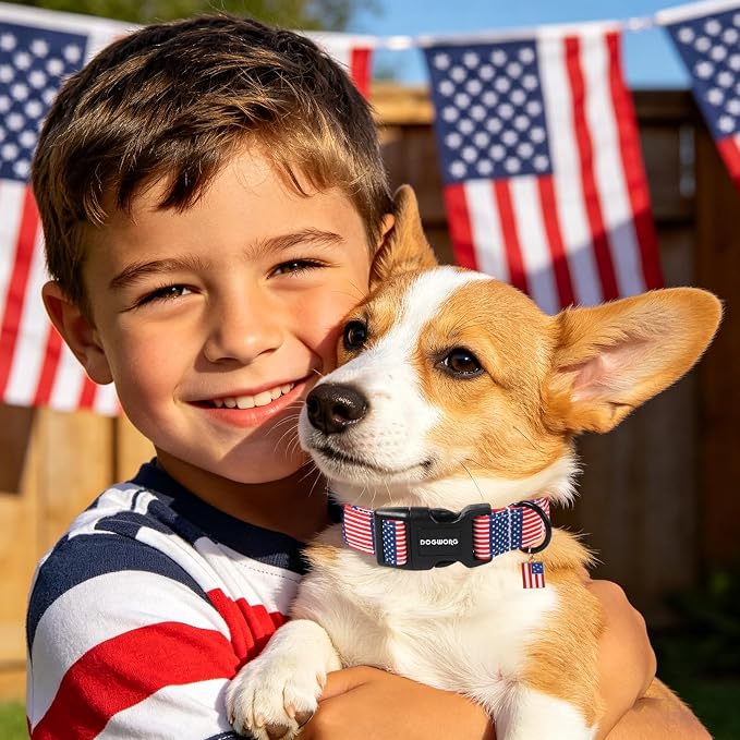 DOGWONG American Flag Dog Collar, 4th of July Patriotic Dog Collar,Independence Day Dogs Collars for Small Medium Dogs, Neck 14-21 inches