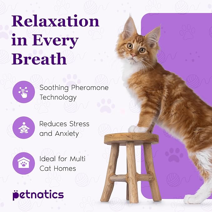 Purrfect Cat Calming Diffuser | Stress Relief for Pets | Multi Cat Calming Pheromone Diffuser | Soothing Pheromone Technology | Long-Lasting Effect for up to 30 Days