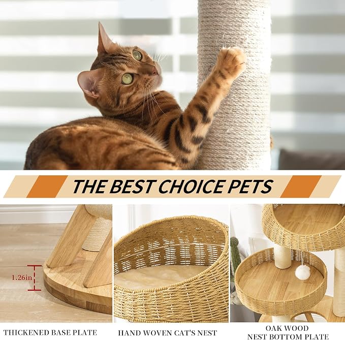 SHODMI Modern Cat Tree Tower for Large Indoor Cats, 53-Inch, 2 Basket Beds | 8 cm thick sisal scratching posts, 20.5-inch wide stable base, rubberwood frame, sisal stairs, plush & cooling mats
