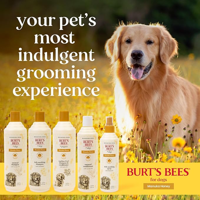 Burts Bees for Pets Manuka Honey 2-in-1 Shampoo and Conditioner, 16 Fl Oz | Jojoba oil formula, 2-in-1 shampoo and conditioner, 95% natural origin, sulfate-free