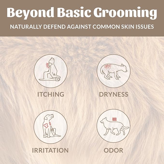 SKOUT'S HONOR Probiotic Dog Shampoo and Conditioner - DOTW, 16 oz, 2-Pack | Natural 2-in-1 for Itchy Skin, Microbiome-Friendly with Avocado Oil & Omega-3s, Paraben & Sulfate-Free