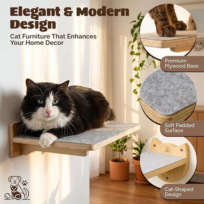 Snuggle & Play Cat Wall Shelves & Climbing System – Modern Furniture Set with 3 Steps & Perch for Indoor Cats, Includes Wand Toy