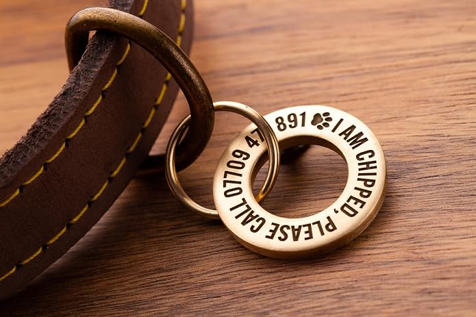Solid Brass or Stainless Steel, Deep Engraved & Polished Dog/Pet ID Tag