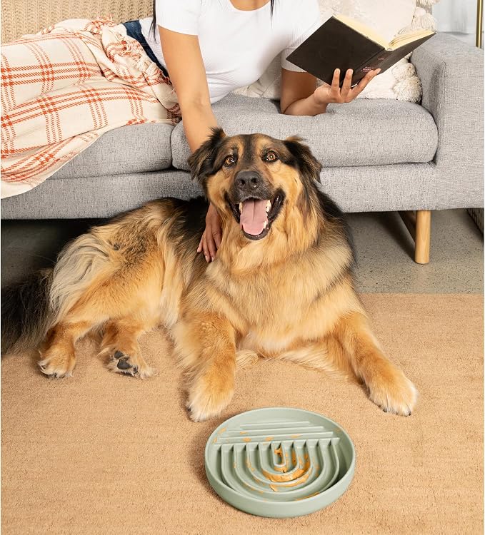 Should We Go? Slow Feeder Dog Bowls - Large Size Silicone Slow Eating Dog Bowl for Puppies & Dogs with Suction Cup -Dishwasher-Safe, Lick Mat Design, Reduces Gulping,for All Breeds,9.5”x1.5”- Sage