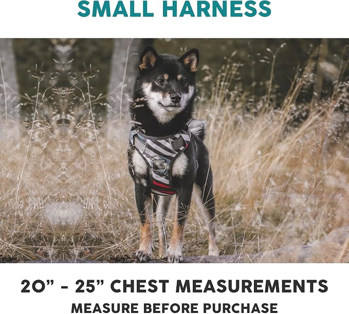 Embark Adventure Small Dog Harness – No-Pull, Reflective Trim, Military-Grade Nylon, Front Clip with Gel-Lined Handle