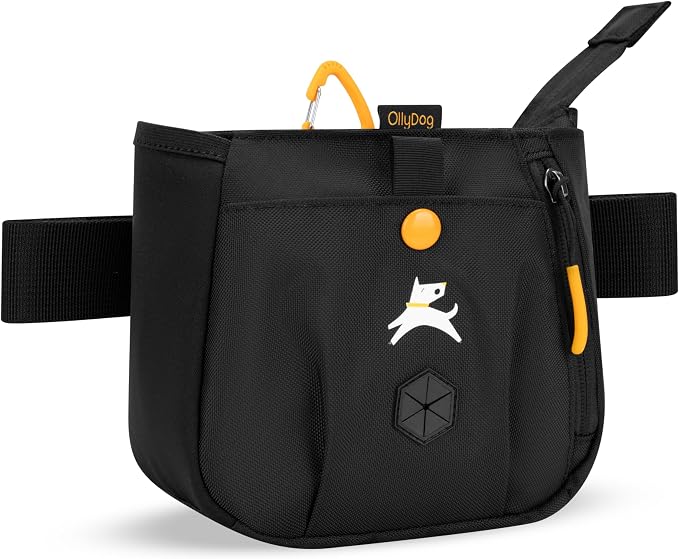 Backcountry Day Bag | Hands-Free Dog Training Treat Pouch | Fanny/Hip Pack with Zipper Closure & Built-in Poop Bag Dispenser | Removable Waist Clip (Raven S'25)