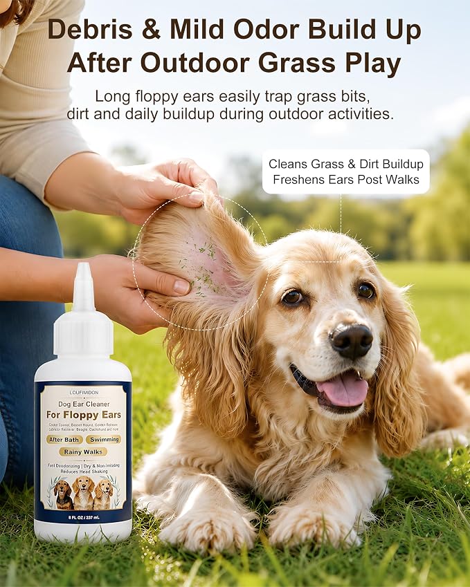 Dog Ear Cleaner Solution with Finger Wipes 8 oz Each 2 Bottles | Dog Ear Wipes For Floppy Ears, Fast Deodorizing Dog Ear Wash After Bath & Swimming Rainy Walk, Unscented Dog Wipes