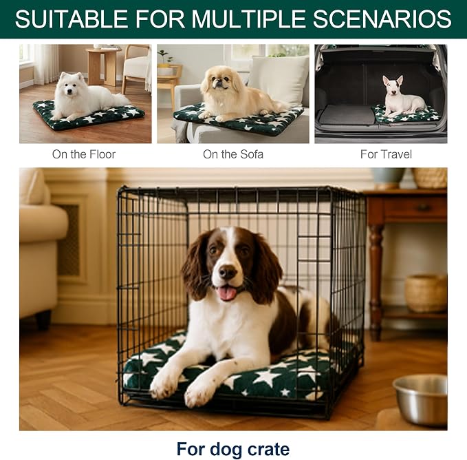 Washable Dog Bed Mat with Anti-Slip Bottom, Deluxe Plush Memory Foam Crate Pad & Waterproof Outdoor Kennel Mat for Dogs & Cats-Durable Crates Beds, Large Medium Small Puppy Size36 x 24",Green