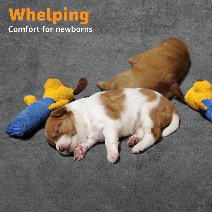 Washable Pee Pads for Dogs: 2 Pack Waterproof Whelping Pads, 16x24 | Reusable Puppy Pads with Non-Slip Bottom, Absorbent, for Potty Training, Playpen, Crate