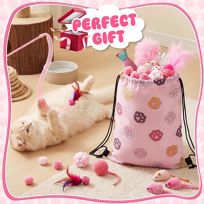 Leitee 101 Pcs Cat Interactive Toys Set with 1 Cat Paw Gift Storage Bags Feather Teaser Wand Springs Mice Fish Crinkle Balls Bell Balls Pillow, Puzzle Toys for Cats Gift Indoor (Pink)