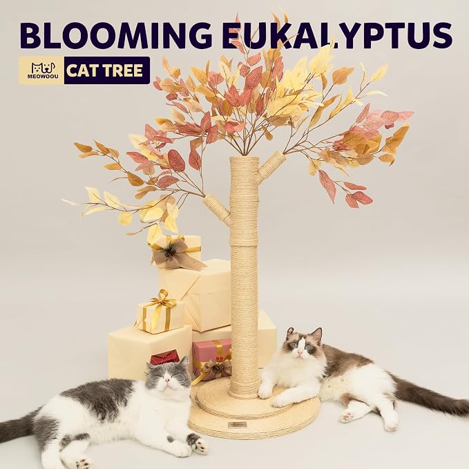 Meowoou Cat Scratching Post for Indoor Cats Adults 42 Inch Tall Cat Scratcher with Sisal Rope for Kittens and Medium Large Cats Multi-Colored