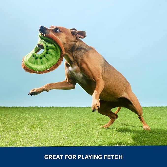 Barkbox Kiweeeee! Flying Disc Dog Toy | Fluff-Free Crinkle Disc with T-Shirt Rope Edge | Durable Fetch Toy for Dogs & Puppies Who Love to Toss & Chase
