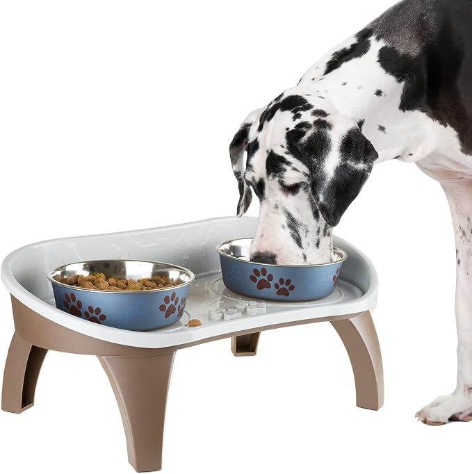 Elevated Pet Feeding Tray - 21″ x 11″ x 8.5″ Raised Dog Bowl Stand with Splash Guard and Non-Skid Feet - Comfortable Mealtime for Dogs and Cats by PETMAKER (Brown/Gray)