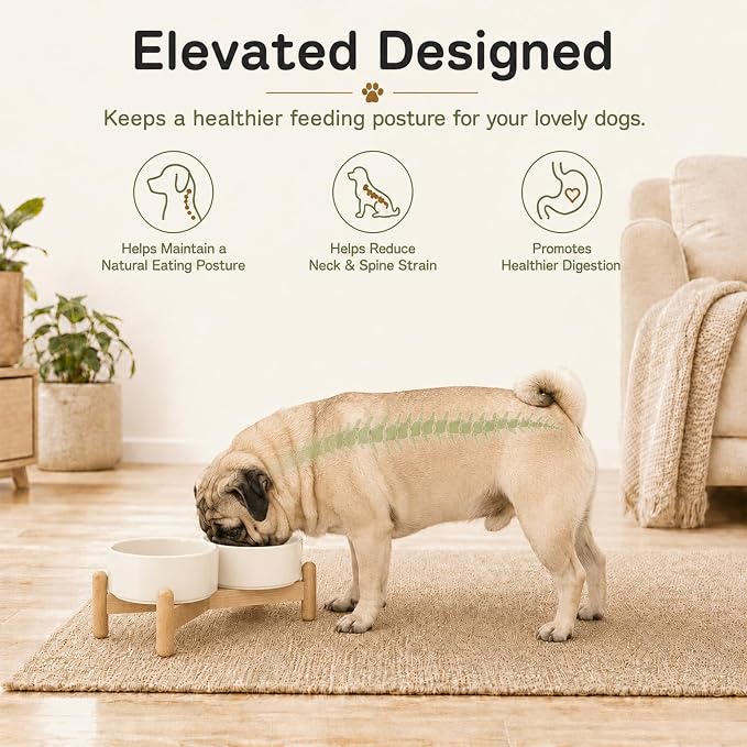 Havniva Ceramic Dog Bowls Elevated, Raised Dog Food Bowl for Puppies | 5.1” Elevated Dog Bowls, Non-Slip Wood Stand, Dog Food and Water Bowl Set, Dog Feeding Dish, Large Capacity Pet Water Bowl
