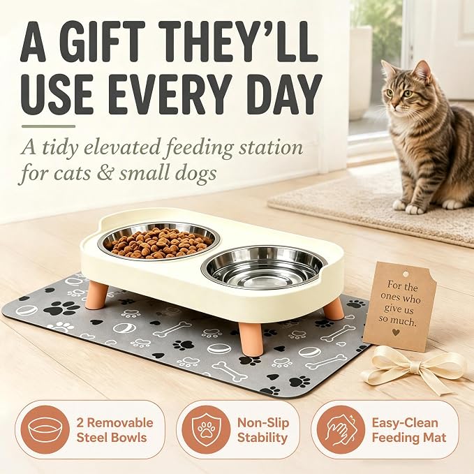 Elevated Dog Bowls with Mat, 2 Stainless Steel for Small Dogs Under 25 Lb | Raised Bowl Stand, Food & Water Set for Cats & Puppies, Splash Proof, Dishwasher Safe, Stain-Resistant Quick-Dry Mat