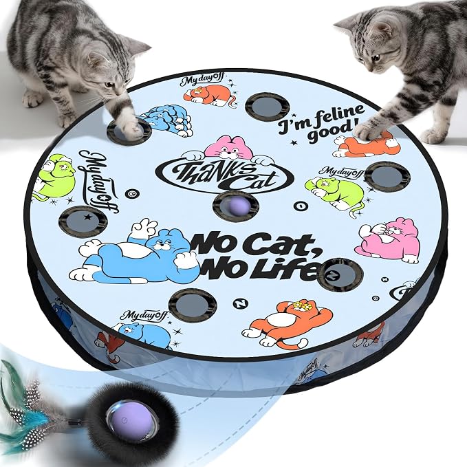 Interactive Cat Toy with Motion Activated Ball & 7 Holes Maze Mat, Hide and Seek Exercise Game for Indoor Cats, Automatic Moving Cat Ball Toy in Pouch, Rechargeable Kitten Toys, Mouse Catching Game