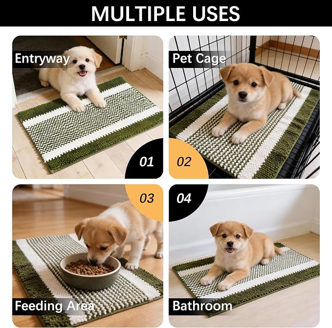 Dog Door Mat for Muddy Paws - Absorbent Quick-Dry Non-Slip Washable Chenille Pet Rug, Indoor Entryway Mat for Front Door & Crate (Green White, 24" L*16" W)