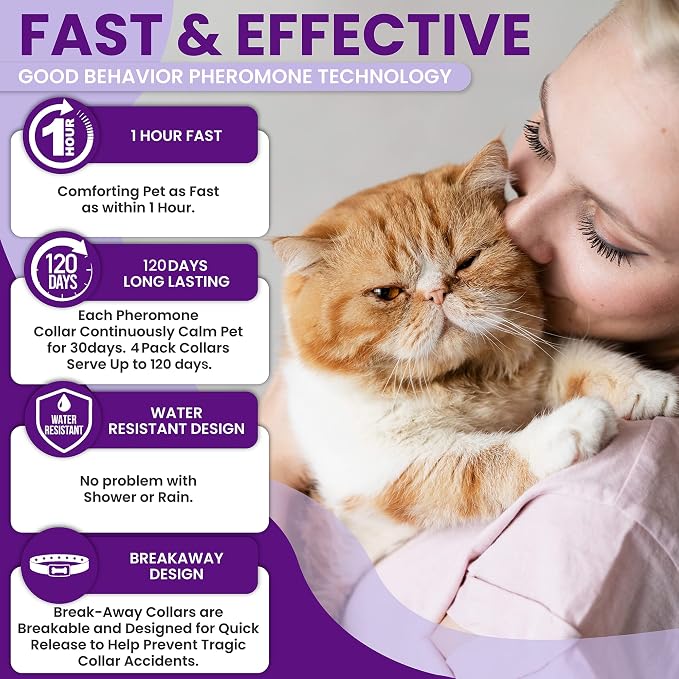Pheromone Calming Collar for Cats: Breakaway Cat Calming Collar for Anxiety, Separation Stress, Multicat Aggression, Spraying, Meowing - for Indoor Use, Moving & Travel, 4 Pack (Purple)