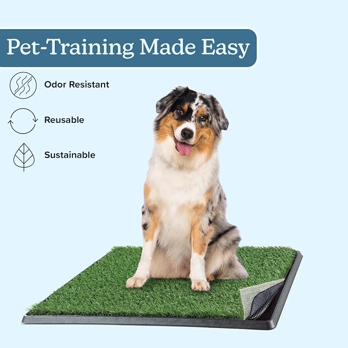 Artificial Grass Puppy Pee Pad for Dogs and Small Pets - 20x25 Reusable 4-Layer Training Potty Pad with Tray - Dog House and Pet Supplies by PETMAKER