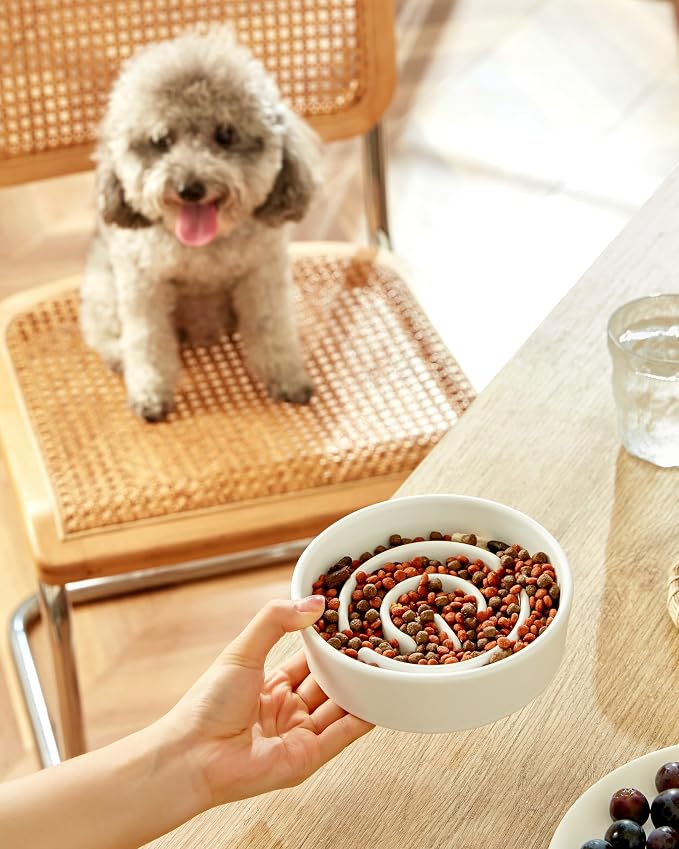 Ceramic Slow Feeder Dog Bowls, 0.6 Cup Slow Feeder for Small Dogs, Puzzle Maze Bowl, Prevents Choking, 6in, White