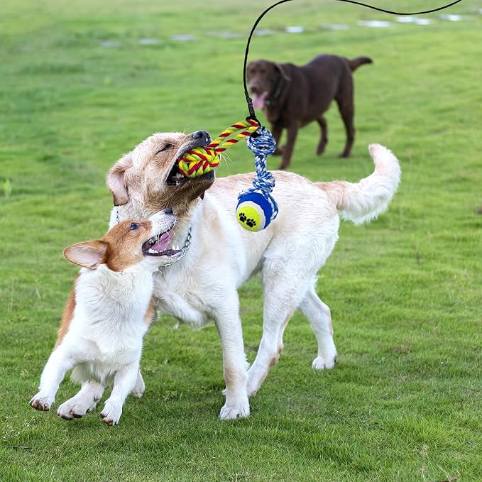 Flirt Pole for Dogs, Interactive Toys Tug-of-war for Dogs, Four-Section Retractable Adjustable Length, Chase Toys with Rope Chewing Sticks, for Outdoor Exercise & Training