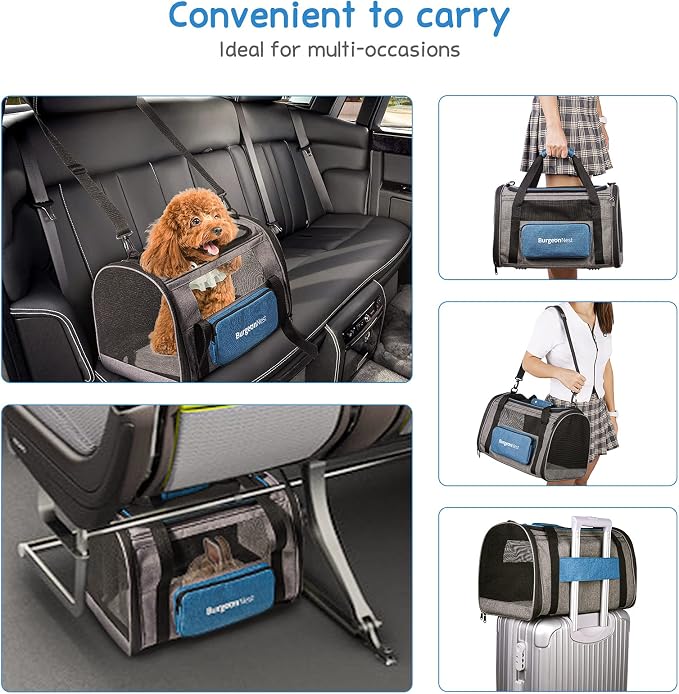 BurgeonNest Pet Carrier for Large Cats, Soft-Sided Cat Carrier for Big Cats and Small Dogs Up to 20 lbs, Top Loading Collapsible Escape-Proof Travel Cat Bag with 4 Mesh Windows & Side Storage, Grey