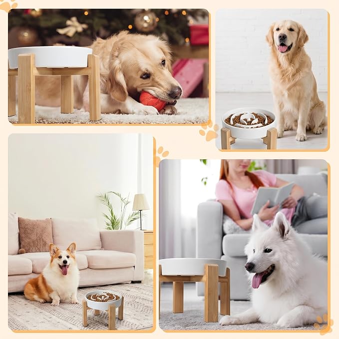 Elevated Slow Feeder Dog Bowl - Ceramic Food Dish with Bamboo Stand - Raised Maze Design - Ideal for Medium to Large Dogs - White - 8.8 inch
