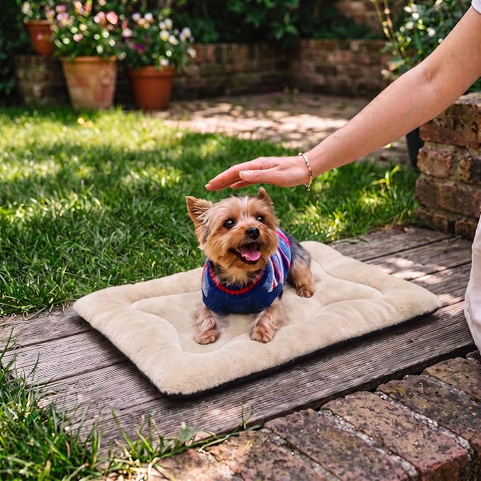 Dog Bed 22" for Metal Crate Pad, Washable Kennel Mat for Small Puppy & Cats | Soft faux rabbit fur, non-slip,machine wash/dry, plush cushioning, for crates, floors & travel, multiple sizes for all breeds