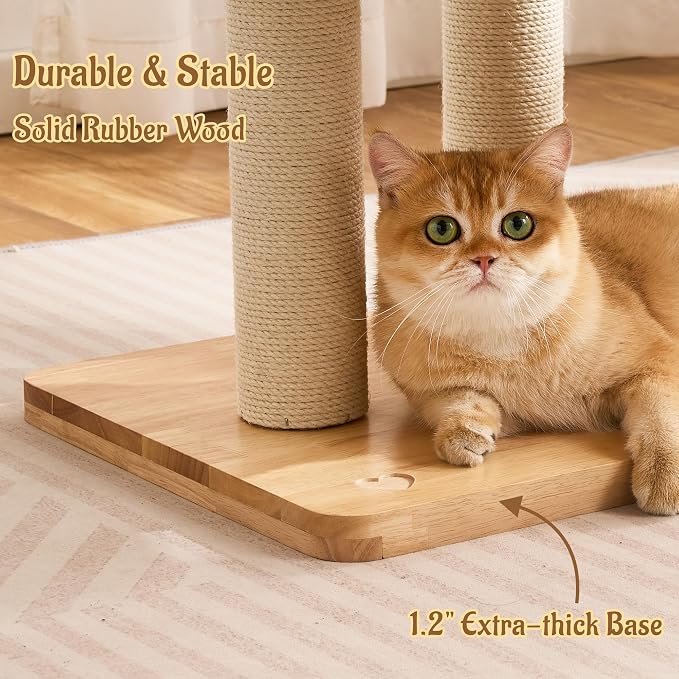 50" Modern Cat Tree for Indoor Cats Small to Medium, Solid Wood Cat Tower with Sisal Scratching Posts, Cat Scratcher Cardboard, Cozy Cat Beds & Hidden Cat Condo, Multi-Level Cat Furniture