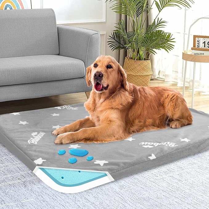 Waterproof Dog Bed for Large/Medium Dog, Memory Foam Dog Beds & Furniture | 38” x 26" x 1.5" for Large Sized Dogs With Anti-slip & Washable Removable Cover, Soft Flannel Top Pet Beds, Grey