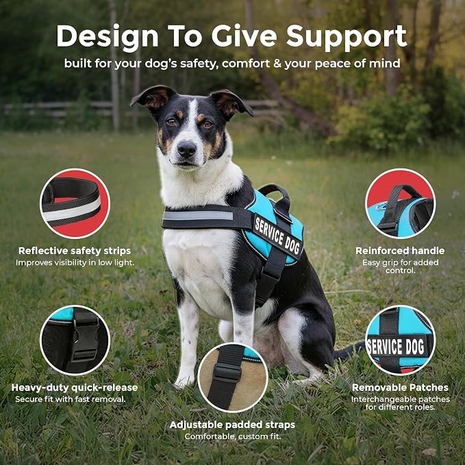 Industrial Puppy Service Dog Vest Harness - Durable & Adjustable Vest for Dog with Reflective Straps, Removable Patches, 50 ADA Cards, Handle & D-Ring, Travel and Daily Use, (Blue, Medium 25"-32")