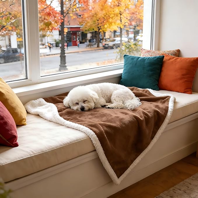 Kritter Planet Dog Blankets for Small Dogs, Soft Puppy Blanket, Pet Blankets for Cats, Lightweight & Washable, Perfect for Dog Beds, Car Seats, Creat, 30x40 inches