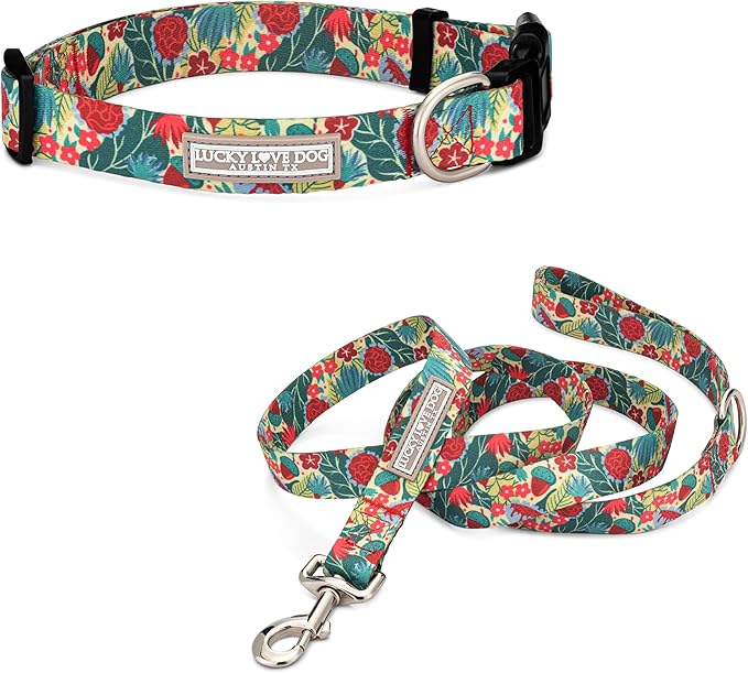 Lucky Love Dog - Easy Click Buckle Dog Collar with Leash Set Combo, Durable & Comfortable for Male & Female Dogs, Pet Collar for Medium Dogs, Secure Fit - Ginny Combo, Medium