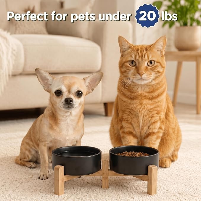 SPUNKYJUNKY Elevated Dog Bowls Ceramic, 5.1'' Dogs and Cat Food Water Bowls Raised with Non-Slip Bamboo Stand for Puppy Small Sized Breed Microwave Dishwasher Safe - 13.5 OZ,Black