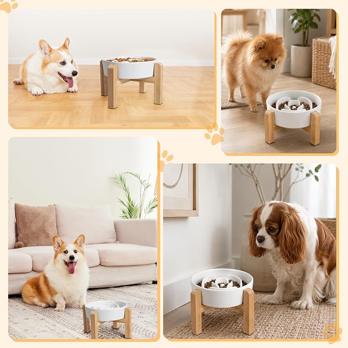 Elevated Slow Feeder Dog Bowl - Ceramic Maze Food Dish with Bamboo Stand - Raised Feeding Bowl for Fast Eaters - Ideal for Small and Medium Dogs - White - 6.7 inch