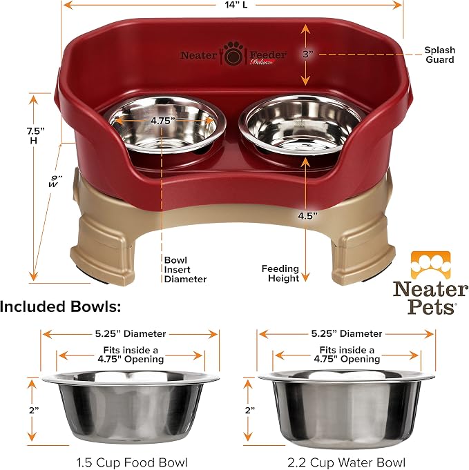Neater Feeder Deluxe Mess-Proof Elevated Dog Bowls for Small Dogs (Up to 19 lbs), 2 Height Adjustable (6” & 7.5”) No-Spill Raised Dog Bowl Stand, Stainless Steel Food Bowl Set, Made in USA, Cranberry