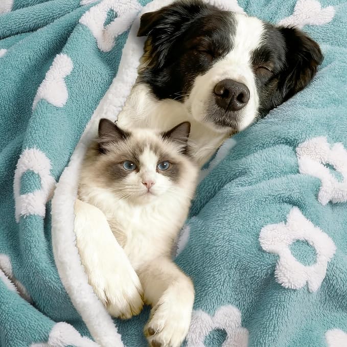 Luciphia Waterproof Pet Blanket for Medium Large Dogs Washable Fluffy Thick Jacquard Shag Fleece Warm Sherpa 3D Textured Flower Print for Cats Puppy Couch Protection (Blue,40x28 inches)